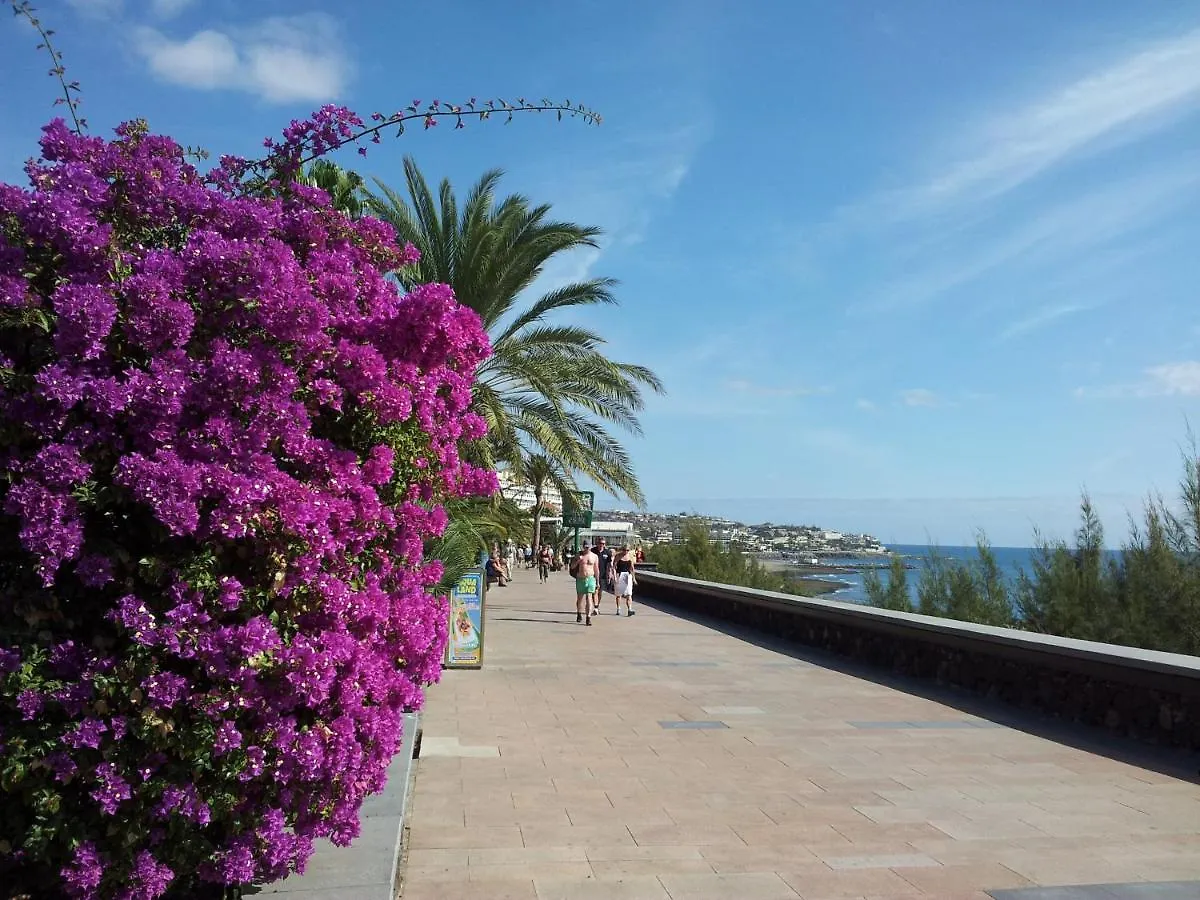 Apartment Apartamentos Horizonte Playa del Ingles