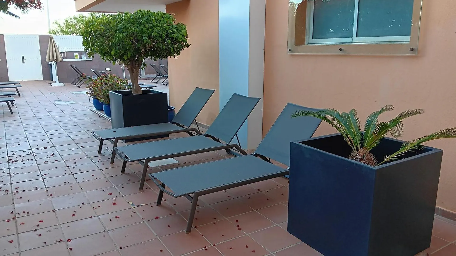 Apartamentos Horizonte Playa del Inglés España