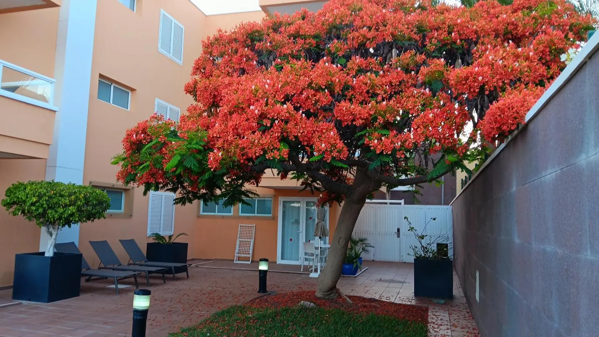 Apartamentos Horizonte Playa del Inglés