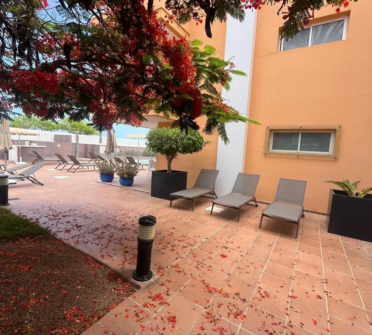 Apartamentos Horizonte Playa del Inglés España
